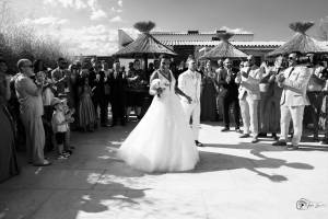 Aline CLADEL - TRIPLE ECLATS