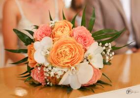 Aline CLADEL - TRIPLE ECLATS